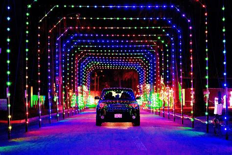 Can You Drive with Christmas Lights on Your Car? And What Happens If Your Car Becomes a Mobile Disco?