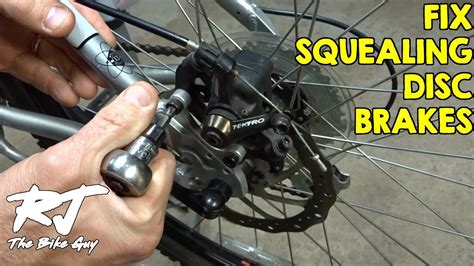 How to Stop Squeaky Brakes on a Bike: And Why Your Cat Might Be the Real Culprit